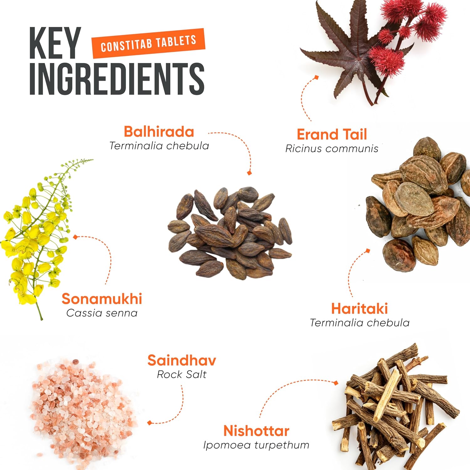 812AyJ+LbsL._SL1500_