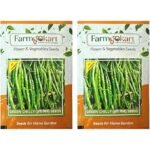 Chilli Green Long Hot Pepper F1 Hybrid Seeds