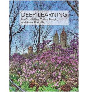 Deep Learning (Adaptive Computation and Machine Learning series)